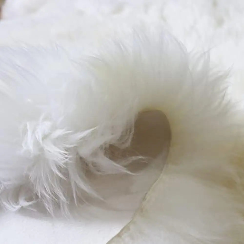 Dutrieux Australian Sheepskin Rug Genuine Soft Fluffy Wool